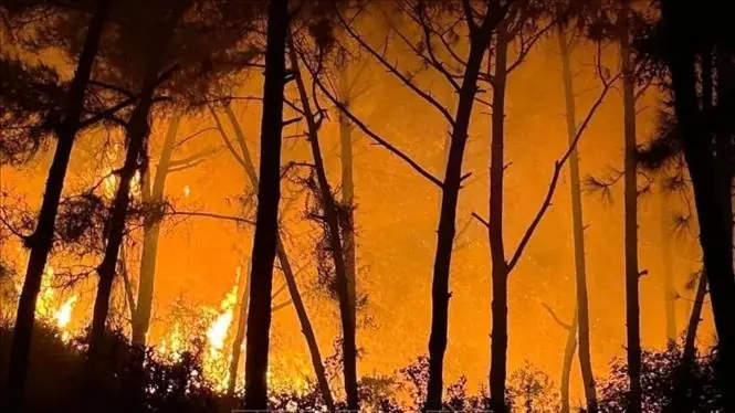 Đài PTTH Hà Nội